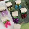 Bohemia Earrings Grape Earrings Korean Style Beads Earrings Funny Fruit Dangle Earring  Gift