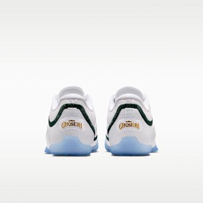 Nike LeBron 23 From This Point Forward (GS)