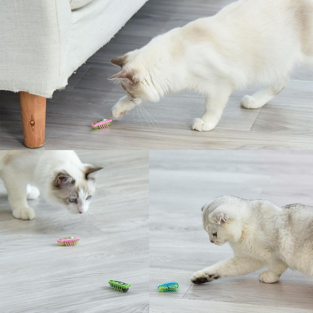 Автоматическая электрическая игрушка-жук для кошки, интерактивная игрушка-божья коровка с тряской для кошки, собаки, забавная игрушка, товары для питомцев