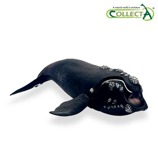 Collecta Southern Right Whale, Popular Toys In Korea