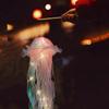 Jellyfish Lamp Decor - Hanging Jellyfish Lantern Decoration, Under The sea Party Decoration, Mermaid Party Decoration