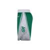 Nike Шорты NBA Boston Celtics Swingman City Edition Dri-Fit зеленые мужские уличные DB4127-312