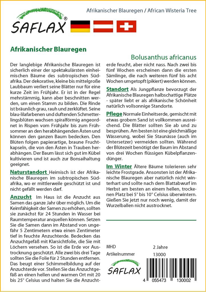 SAFLAX Дерево глицинии африканской - 15 семян - Bolusanthus africanus