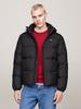 Winter Jacket Tommy Hilfiger Water Repellent Down Jacket (DM0DM19786) Black