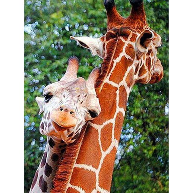 DIY Giraffe 5D Diamond Painting Cross Stitch Full Round Drill Daimond Embroidery Rhinestone