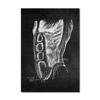 Human Anatomy Artwork Wall Picture Organ Muscle Skeleton Nordic Canvas Print Vintage Poster Art Painting Medical Clinic Decor
