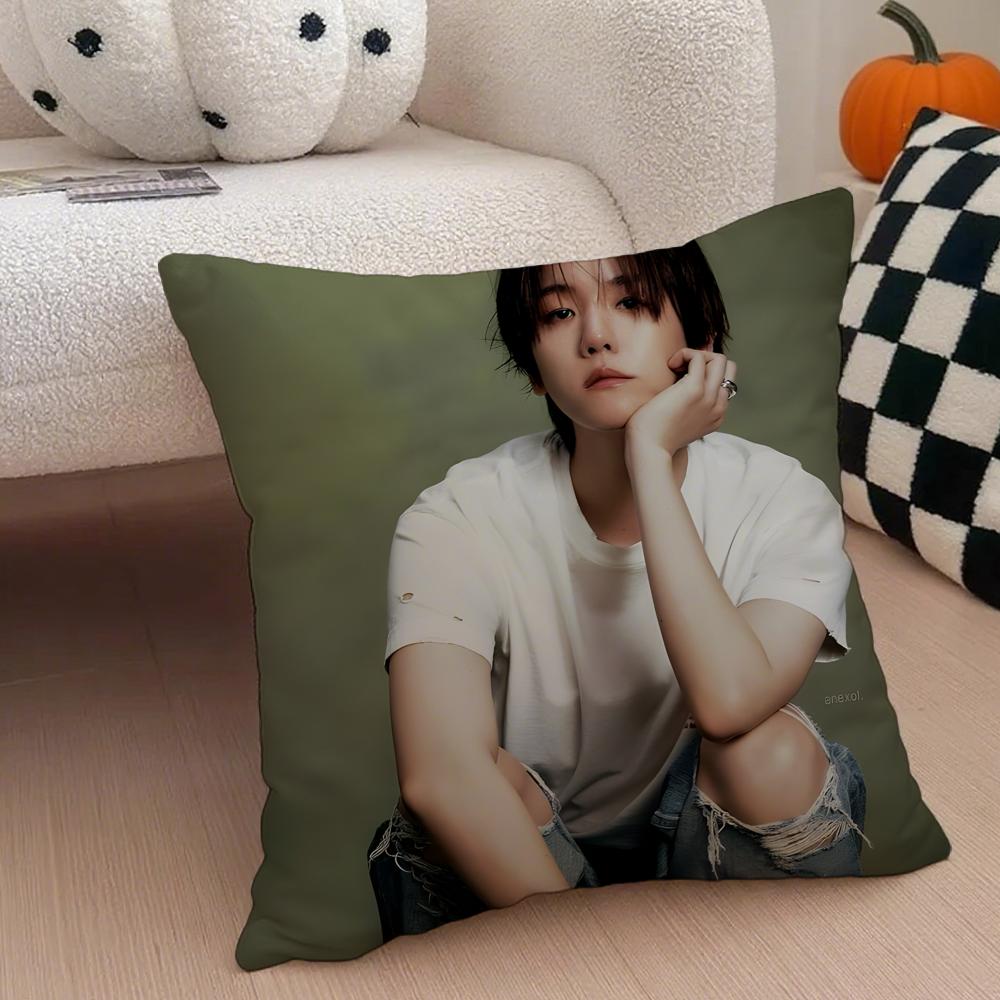 singer charming BBaekhyun Cushion Cover Throw Pillow Cover Hidden Button Durable Polyester Chair Cushion