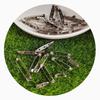Brooch Base Back Bar Badge Holder Safe Lock Brooch Pins for DIY Brooch Jewelry Making Accessories