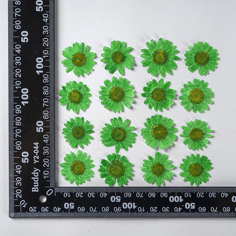 Кристальная хризантема, окрашенная маргаритка, оптом, DIY, материал для изготовления цветов ручной работы, капля клея, лепестки сухих цветов, макияж, тисненые образцы растений