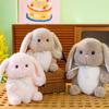 Имитация кролика, медведя, плюшевая кукла, ПП, хлопок, мягкие игрушки, плюшевая кукла, декор для вечеринки по случаю дня рождения