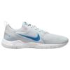 Nike Кроссовки Flex Experience Run 10 'Pure Platinum Imperial Blue' CI9960-010