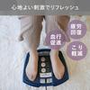 Twin Bird Foot Foot Tataki Strong Controlled Medical Auto Off Navy Massager, Tonton, Vibration, Equipment, Timer, Blue, EM-2706BL
