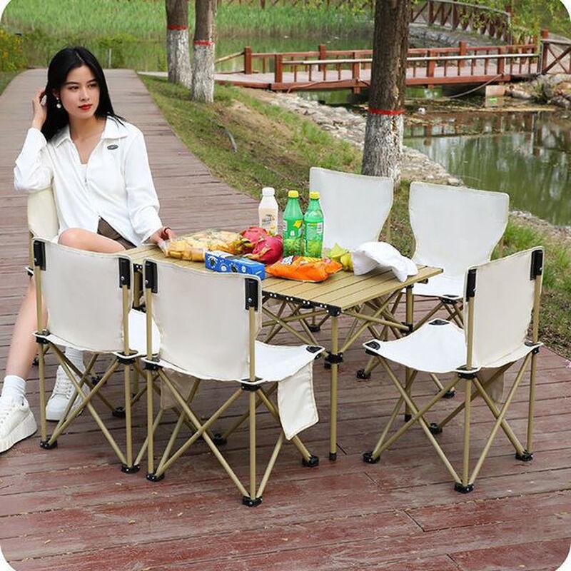 Portable Folding Outdoor Picnic Table and Chair Set