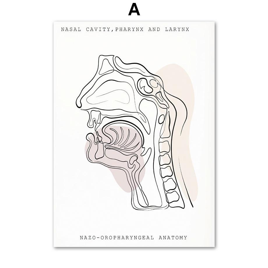 Минималистичный Красочный Анатомический Линия, медицинский плакат и принты, настенное искусство, ухо, гортань, сердце, холст, картина, доктор, подарок, декор для клиники
