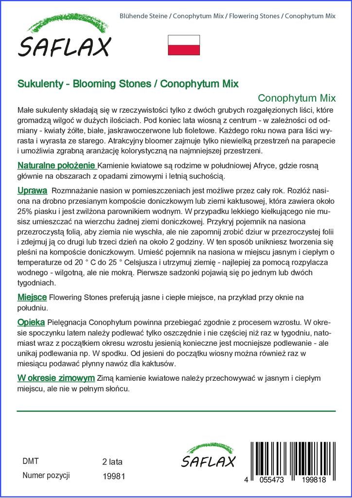 SAFLAX Garden in the Bag - Цветущие камни / Conophytum Mix - 40 семян - С субстратом в подходящем стоячем пакете - Conophytum Mix