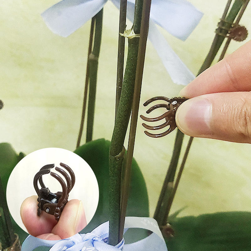 100 шт. вьющихся растений виноградная лоза орхидея фиксация опорные зажимы инструменты садовые цветочные стебли шпалерные зажимы