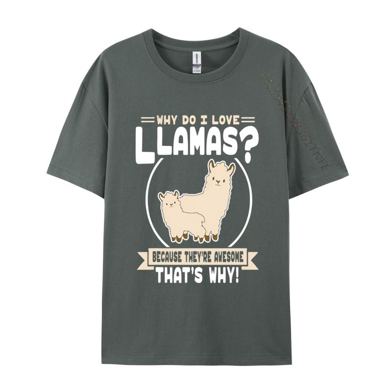 Why Do I Love Llamas Because Theyre Awesome T Shirts Men T Shirt Cotton Oversized Tee Tops Kawaii Clothes