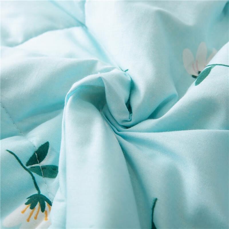 FangEn Xinjiang Cotton Summer Quilt
