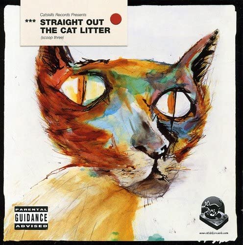 CD ПРЯМО ИЗ КОШАЧЬЕГО ЛОТКА: SCO - Прямо из кошачьего лотка: Sco RIDCD006 Catskills Recor 2002 UK Танцевальная и электронная музыка Б/у
