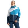 Dare 2B Womens/Ladies Ice Colour Block Ski Jacket