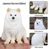 Cute Animal Models: Japanese Raccoon, Flying Squirrel, Monkey, Rabbit, Squirrel, Shiba Inu, Tiger, Lion, Lizard Toy Set