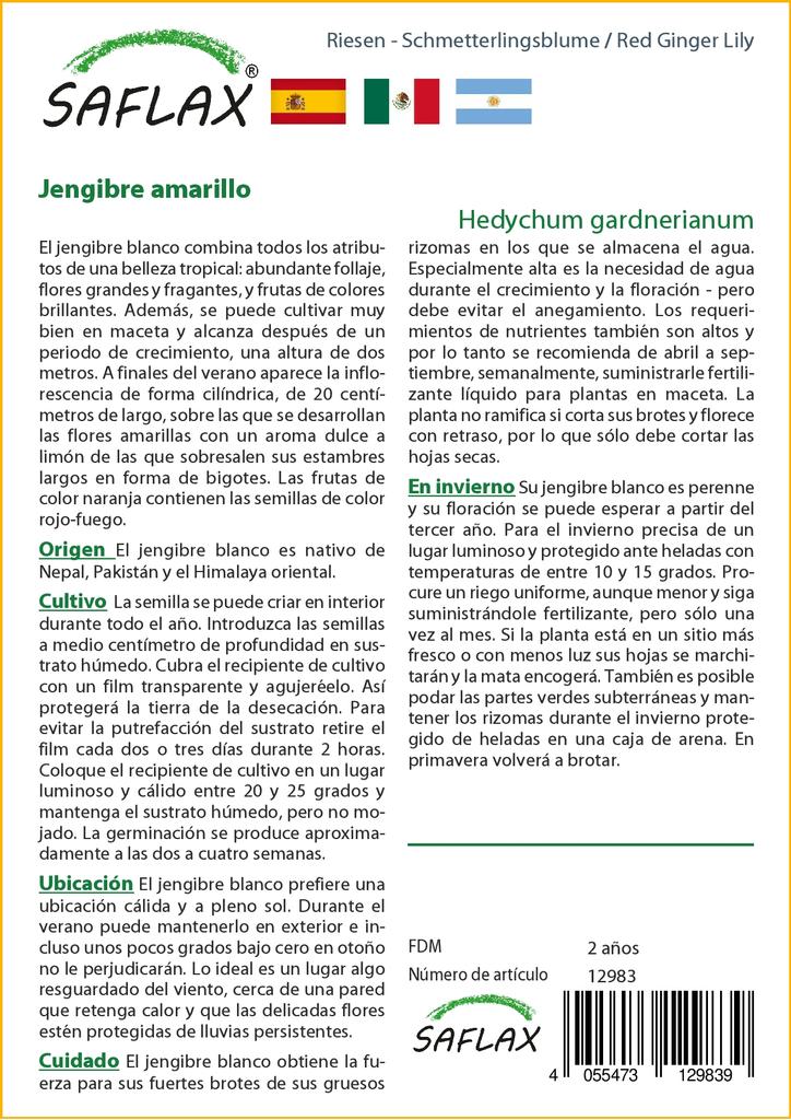 SAFLAX Подарочный набор - Красная имбирная лилия - 10 семян - С подарочной коробкой, карточкой, этикеткой и субстратом для горшков - Hedychum gardnerianum