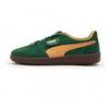 Puma Палермо Виноград Клемин 39646305