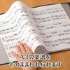 Large Capacity Clear File with 40 Pockets for Sheet Music and Document Organization, Perfect for Piano Notes, A3 Sheet Music, and More, with Side Pock