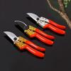 SK5 Garden Pruning and Fruit Tree Picking Scissors Multi Style Gardening Tools Pruning and Pruning Scissors