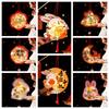 Handmade Transparent Rabbit Lantern Cartoon Lantern DIY Material Package  For Women