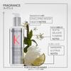 Damage Repair Consentre 250 мл Van Decalcify 250 мл Бесплатный образец включен Damage Care Kérastase Pre-Treatment +