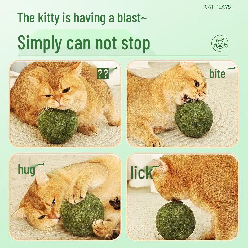 Crazy Master Catnip & Silvervine Cat Toys