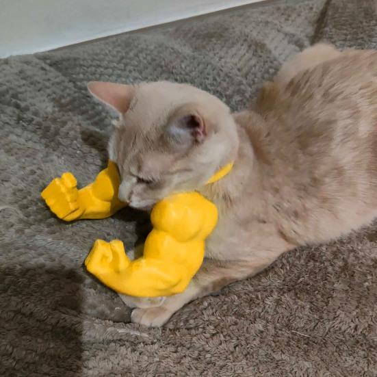 Костюм кошачьей мышцы руки, 3D-принтованная кошачья шея-рука с мышцей, забавная кошачья шея, подвесное украшение, принадлежности для Хэллоуина, дня рождения