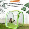 Pop-up Spider Breeding Box Mesh Butterfly Cage High Quality Small Insect Cage