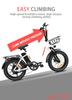 DZ2030 E-Bike 800W Motor 48V16AH Removable Battery Food Delivery Electric Bicycle 20*4.0 Fat Tire Adult Delivery Electric Bike