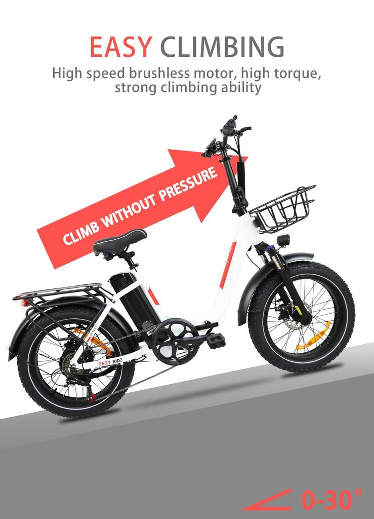 DZ2030 E-Bike 800W Motor 48V16AH Removable Battery Food Delivery Electric Bicycle 20*4.0 Fat Tire Adult Delivery Electric Bike