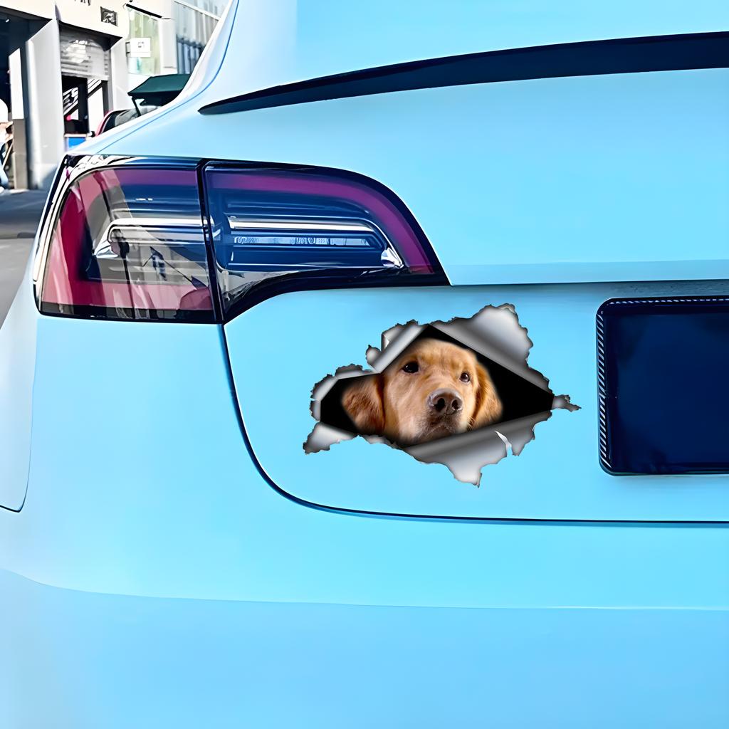Golden Retriever 3D Vinyl Car Sticker, Fun Insurance Bumper Sticker for Cars, Trucks, Motorcycles, Walls, Windows, PVC Material