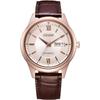 Мужские часы Citizen Citizen Collection NY4052-16A Нержавеющая сталь Аналоговые Водонепроницаемость 100 м