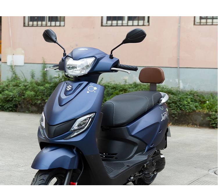 Улучшенная задняя багажная полка Suzuki Little Dolphin QS110T-3 для скутера/мотоцикла