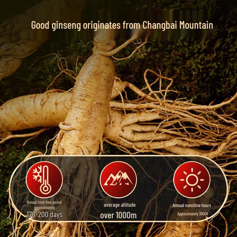 Tongrentang Changbai Mountain Red Ginseng Slices