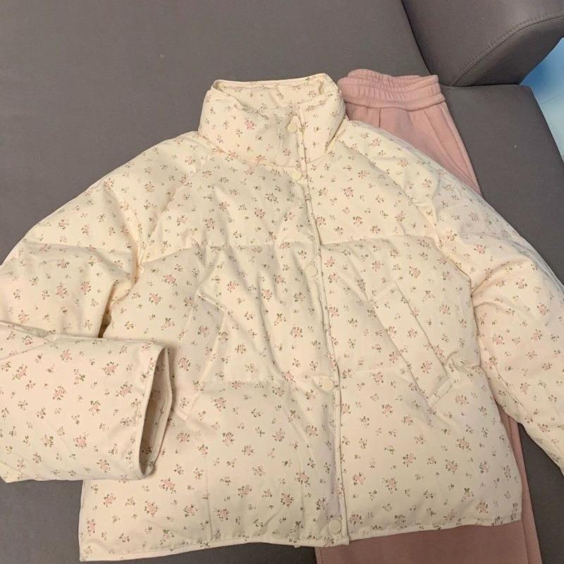 Милая печать Универсальные куртки с капюшоном Y2K Молния Топ Свободное пальто Стиль преппи Модные повседневные утепленные теплые женские парки