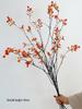 Maple Leaf Dried Flower Bouquet: Autumn Leaves & Tree Trunk Arrangement for Wabi-Sabi Style Home Décor