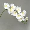 69Cm 3D New Artificial Phalaenopsis Flower Branches Real Touch Faux Butterfly Orchid Stems Floral Arrangement Wedding Home Decor