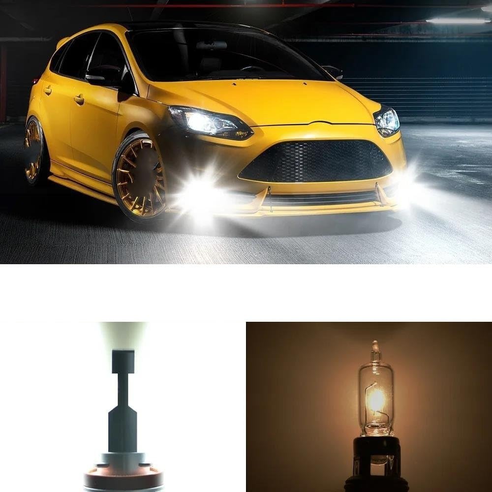 Fit for Fog H8 H11 H16JP H10 Car Lamp Fog Lamp Canbus Errorless 6500K