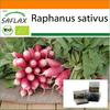 Сад в сумке - Органический - Редис - Французский завтрак - 150 семян - С субстратом в подходящем стоячем мешке - Raphanus sativus