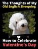 Книга The Thoughts of My Old English Sheepdog : How To Celebrate Valentine's Day