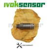Limiter Pressure Valve 1110010035 For Diesel Spare Parts Common Fuel Rail Pressure Limited Valve 1 110 010 035