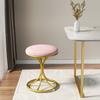 Nordic Portable Velvet Metal Vanity Stool Dinning Chair Modern Living Room Furniture Chairs Makeup Chairs Hall Shoes