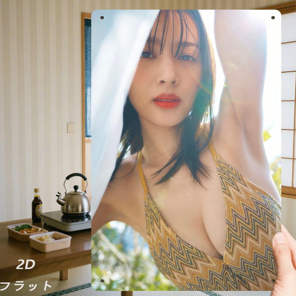 D Flat Retro Iron Sign Sunbeam Beauty Wall Art Decor xin Unique Gift for Home Bar
