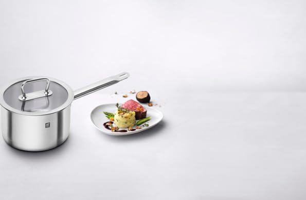 ZWILLING Saucepan 18cm Glass Stainless Steel Saucepan with Induction Cooktop Warranty Japanese "Pro (with Lid)" Single-handled 3-layer Base,